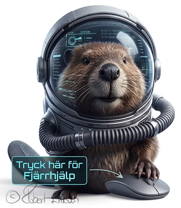 datorhjälp fjärrsupport